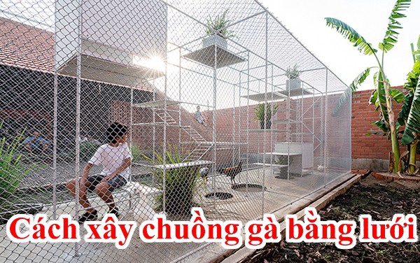 Cach-xay-chuong-ga-dep