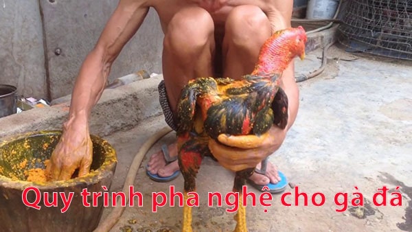 Tai-sao-lai-phai-pha-nghe-cho-ga-da-Pha-nghe-cho-ga-da-nham-muc-dich-gi-