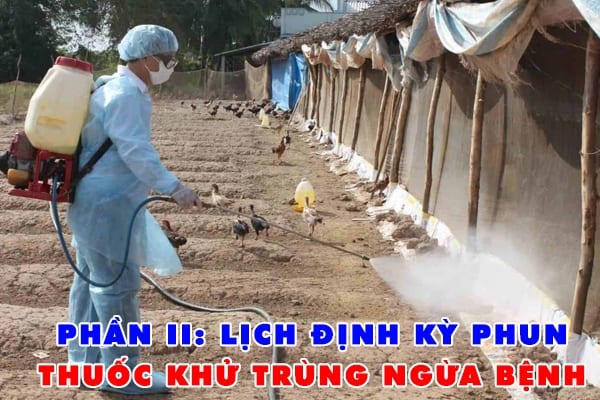 lich-vacxin-cho-ga-va-phong-tranh-dich-benh-chuan-nhat-nam-2021