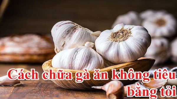 Cach-chua-ga-an-khong-tieu