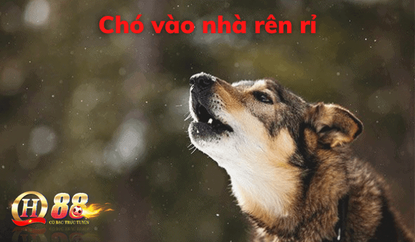 Chó vào nhà rên rỉ