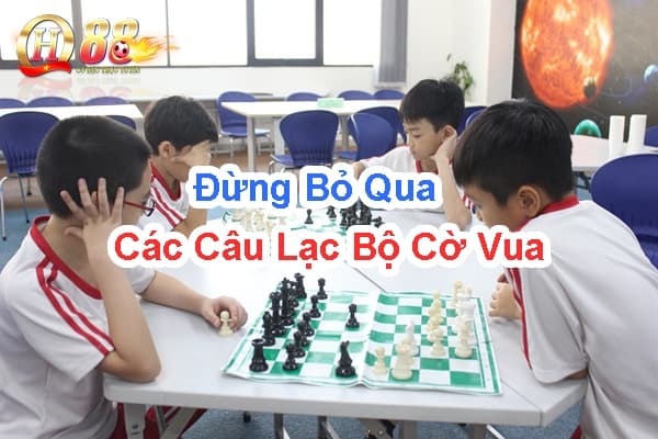 Đừng bỏ qua các câu lạc bộ cờ vua