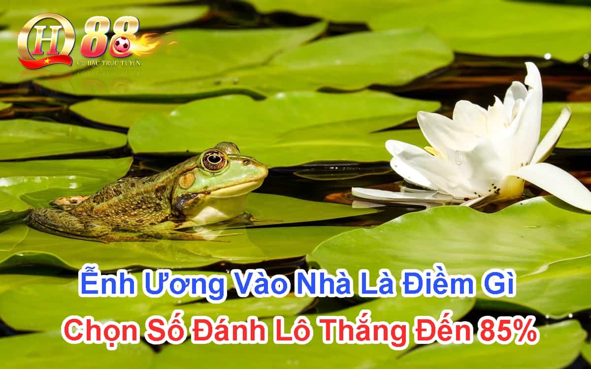 enh-uong-vao-nha-la-diem-gi-chon-so-danh-lo-thang-den-85%