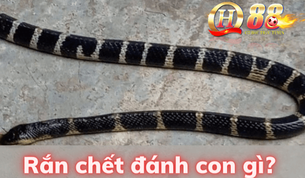 Gặp rắn chết đánh con gì dễ trúng?