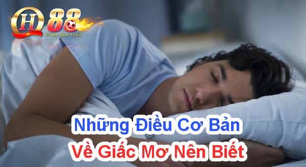 Những điều cơ bản về giấc mơ nên biết