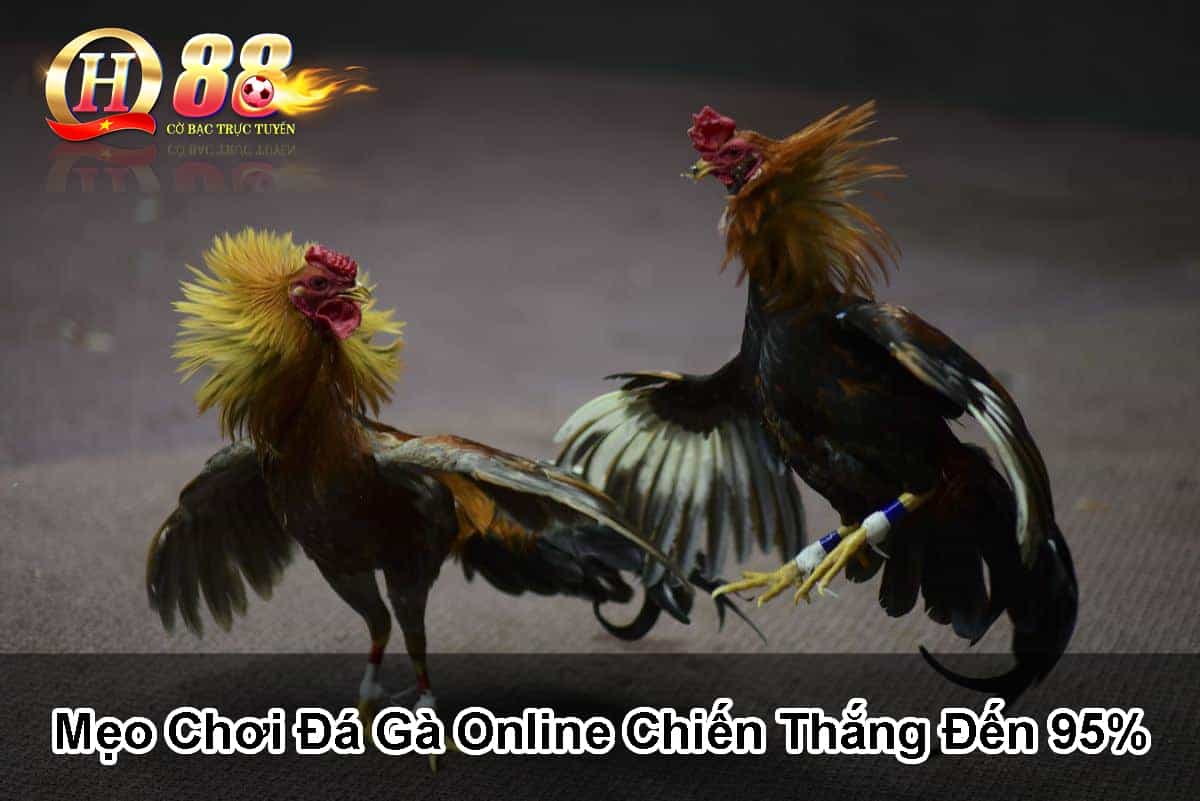 meo-choi-da-ga-online-chien-thang-den-95%